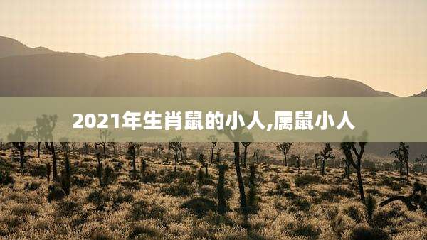 2021年生肖鼠的小人,属鼠小人