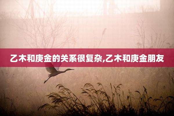 乙木和庚金的关系很复杂,乙木和庚金朋友
