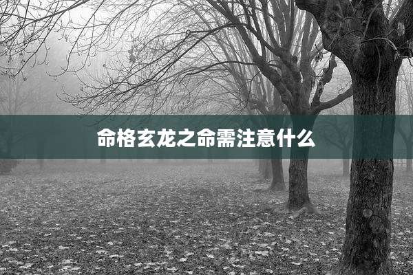 命格玄龙之命需注意什么