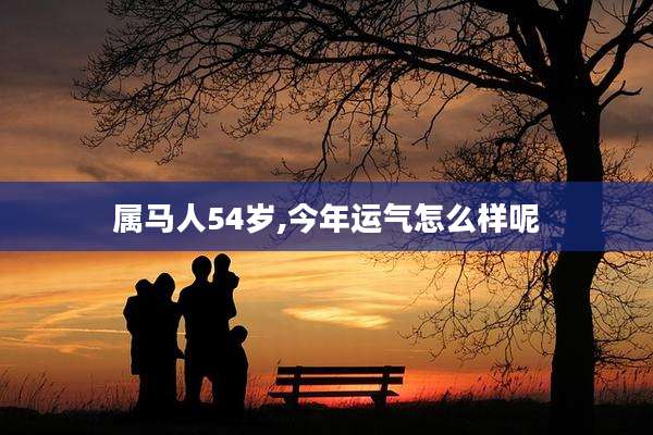 属马人54岁,今年运气怎么样呢