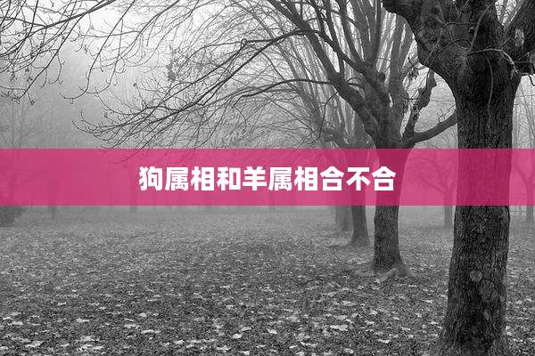 狗属相和羊属相合不合