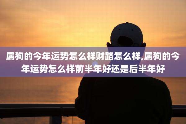 属狗的今年运势怎么样财路怎么样,属狗的今年运势怎么样前半年好还是后半年好