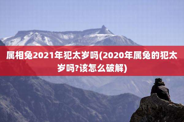 属相兔2021年犯太岁吗(2020年属兔的犯太岁吗?该怎么破解)