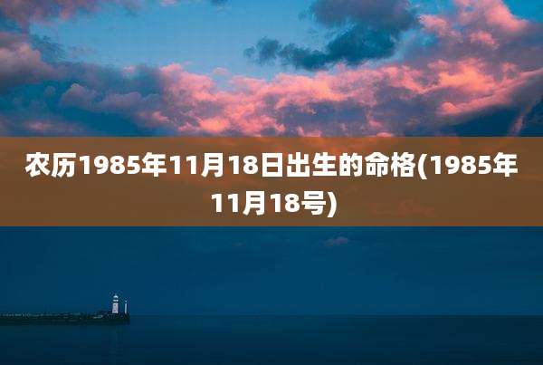 农历1985年11月18日出生的命格(1985年11月18号)