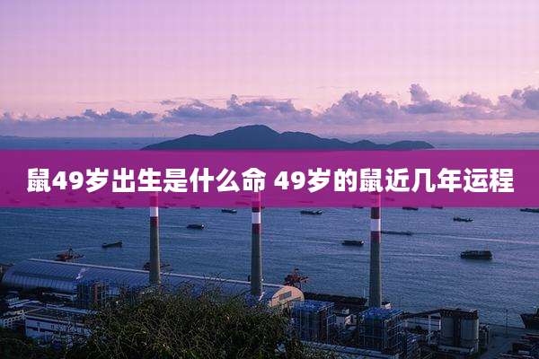鼠49岁出生是什么命 49岁的鼠近几年运程