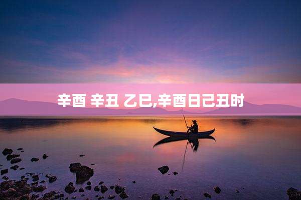 辛酉 辛丑 乙巳,辛酉日己丑时