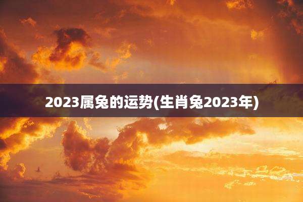 2023属兔的运势(生肖兔2023年)