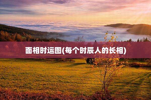 面相时运图(每个时辰人的长相)