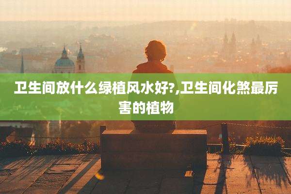 卫生间放什么绿植风水好?,卫生间化煞最厉害的植物