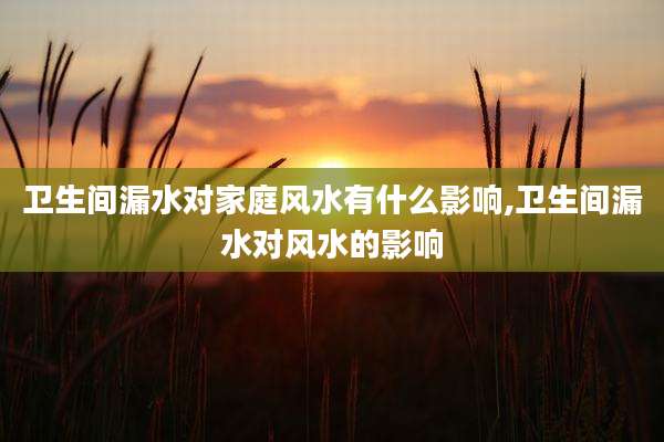 卫生间漏水对家庭风水有什么影响,卫生间漏水对风水的影响