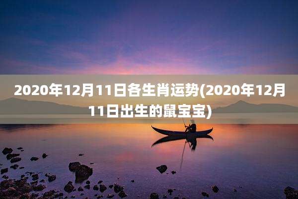 2020年12月11日各生肖运势(2020年12月11日出生的鼠宝宝)