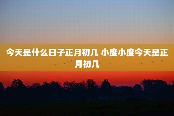 今天是什么日子正月初几 小度小度今天是正月初几