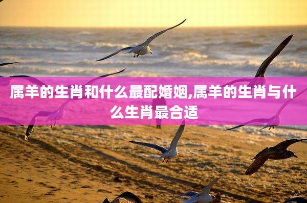 属羊的生肖和什么最配婚姻,属羊的生肖与什么生肖最合适