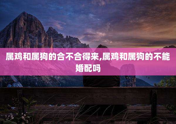 属鸡和属狗的合不合得来,属鸡和属狗的不能婚配吗