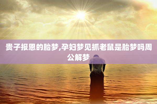贵子报恩的胎梦,孕妇梦见抓老鼠是胎梦吗周公解梦