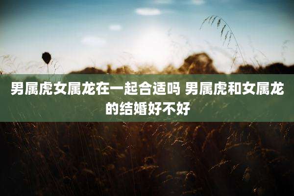 男属虎女属龙在一起合适吗 男属虎和女属龙的结婚好不好