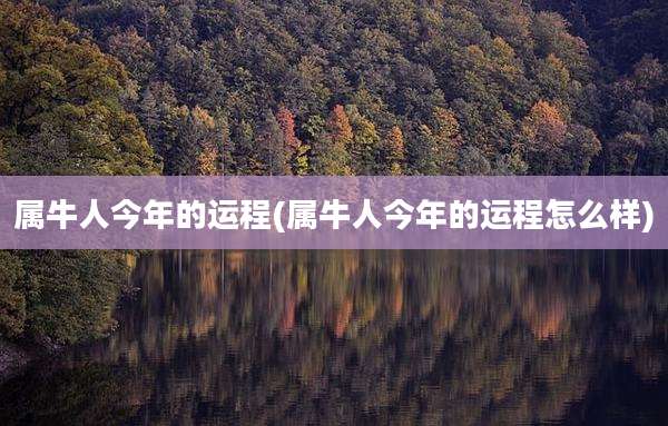 属牛人今年的运程(属牛人今年的运程怎么样)