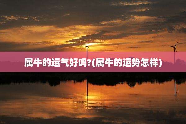属牛的运气好吗?(属牛的运势怎样)