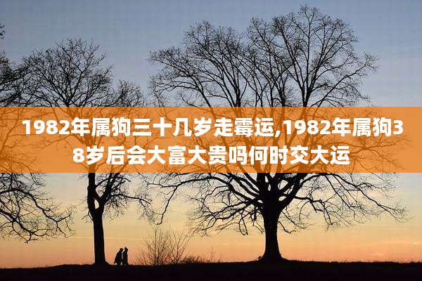 1982年属狗三十几岁走霉运,1982年属狗38岁后会大富大贵吗何时交大运