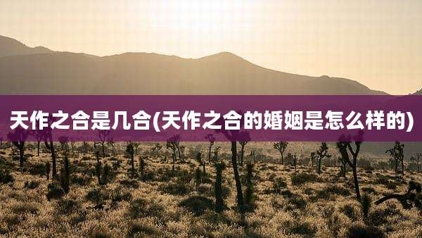 天作之合是几合(天作之合的婚姻是怎么样的)