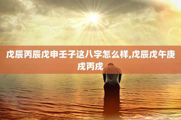 戊辰丙辰戊申壬子这八字怎么样,戊辰戊午庚戌丙戌