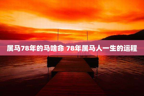 属马78年的马啥命 78年属马人一生的运程