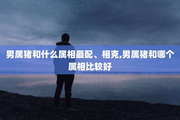 男属猪和什么属相最配、相克,男属猪和哪个属相比较好