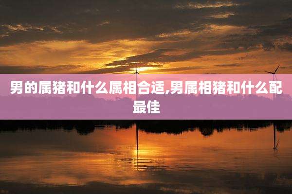 男的属猪和什么属相合适,男属相猪和什么配最佳