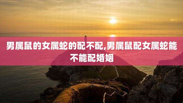 男属鼠的女属蛇的配不配,男属鼠配女属蛇能不能配婚姻