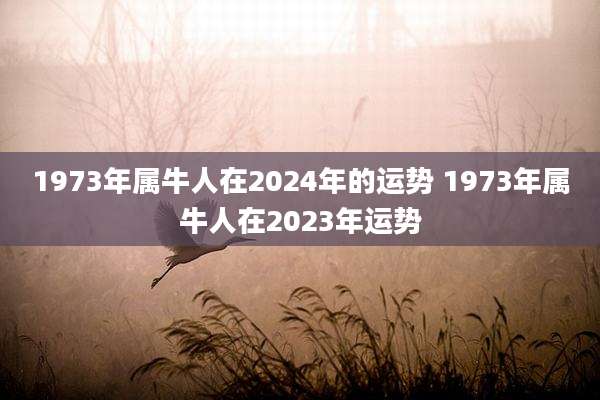 1973年属牛人在2024年的运势 1973年属牛人在2023年运势