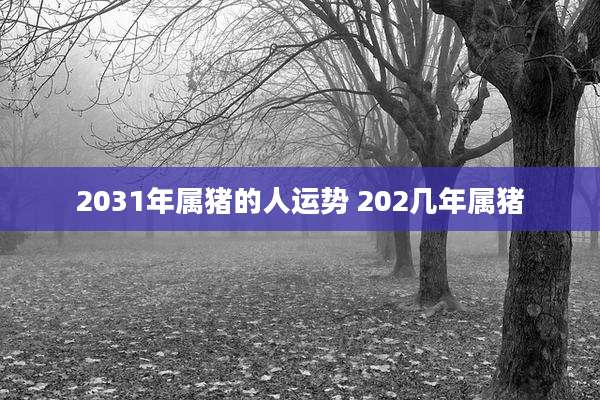 2031年属猪的人运势 202几年属猪