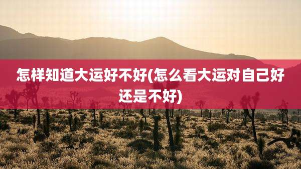 怎样知道大运好不好(怎么看大运对自己好还是不好)