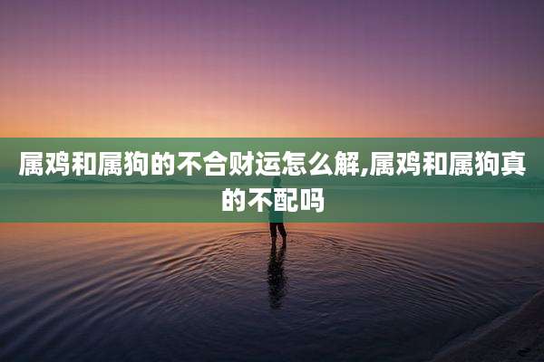 属鸡和属狗的不合财运怎么解,属鸡和属狗真的不配吗