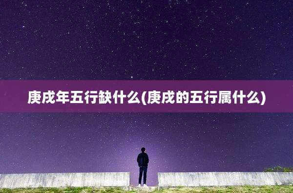 庚戌年五行缺什么(庚戌的五行属什么)