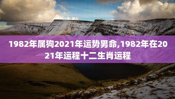 1982年属狗2021年运势男命,1982年在2021年运程十二生肖运程