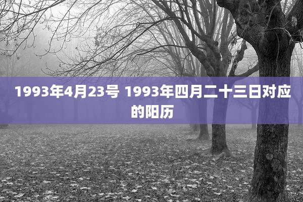 1993年4月23号 1993年四月二十三日对应的阳历