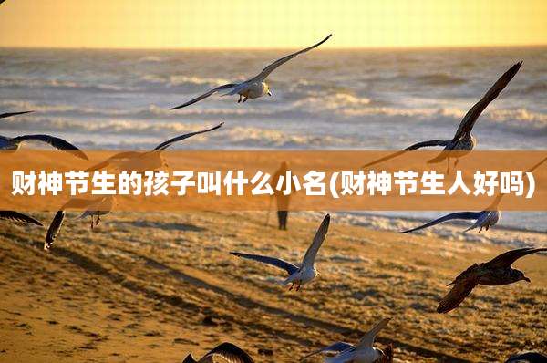 财神节生的孩子叫什么小名(财神节生人好吗)
