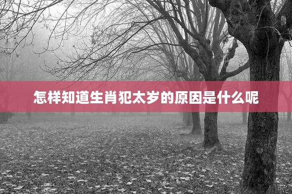 怎样知道生肖犯太岁的原因是什么呢