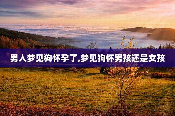 男人梦见狗怀孕了,梦见狗怀男孩还是女孩