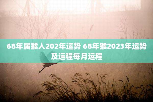 68年属猴人202年运势 68年猴2023年运势及运程每月运程