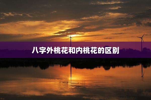八字外桃花和内桃花的区别