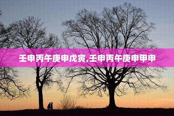 壬申丙午庚申戊寅,壬申丙午庚申甲申