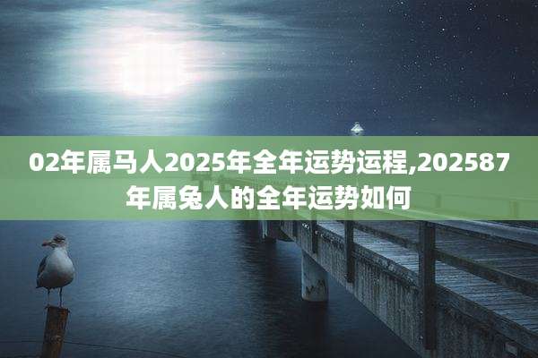 02年属马人2025年全年运势运程,202587年属兔人的全年运势如何