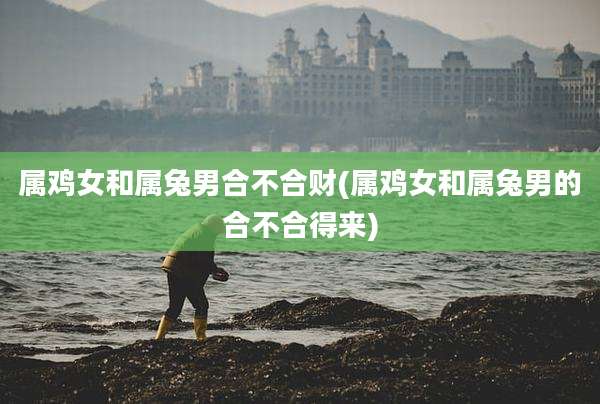 属鸡女和属兔男合不合财(属鸡女和属兔男的合不合得来)