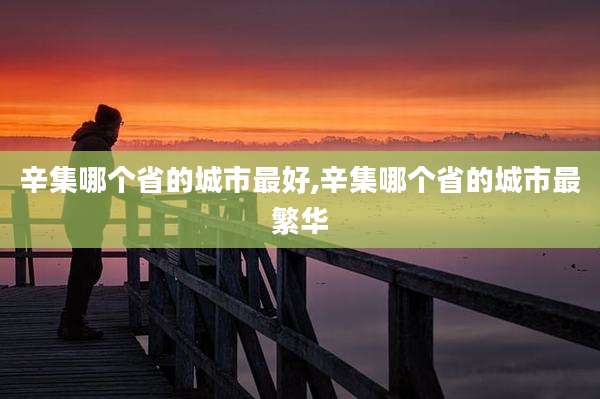 辛集哪个省的城市最好,辛集哪个省的城市最繁华