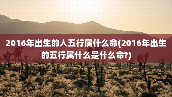 2016年出生的人五行属什么命(2016年出生的五行属什么是什么命?)