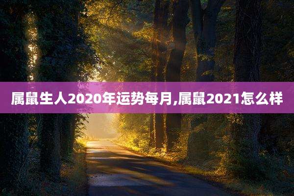 属鼠生人2020年运势每月,属鼠2021怎么样