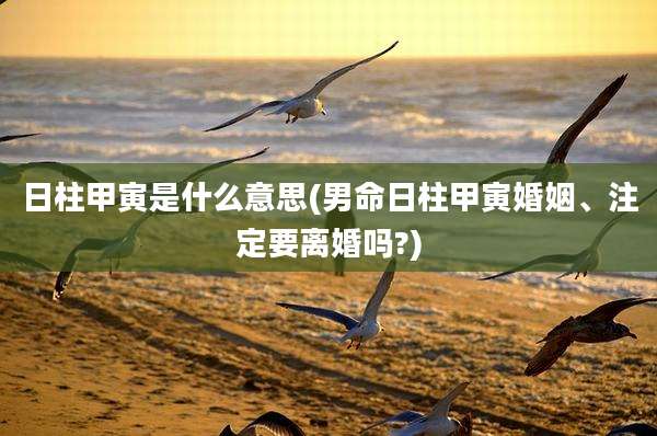 日柱甲寅是什么意思(男命日柱甲寅婚姻、注定要离婚吗?)