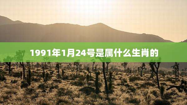 1991年1月24号是属什么生肖的