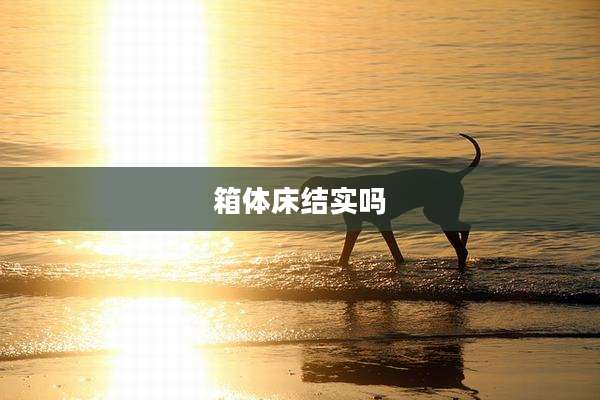 箱体床结实吗